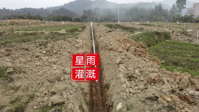 喷灌蔬菜场喷花卉喷灌农田灌溉自动配肥肥水药一体化设计指导