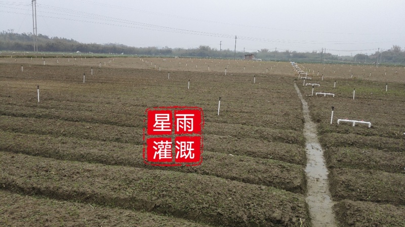 喷灌蔬菜场喷花卉喷灌农田灌溉自动配肥肥水药一体化设计指导
