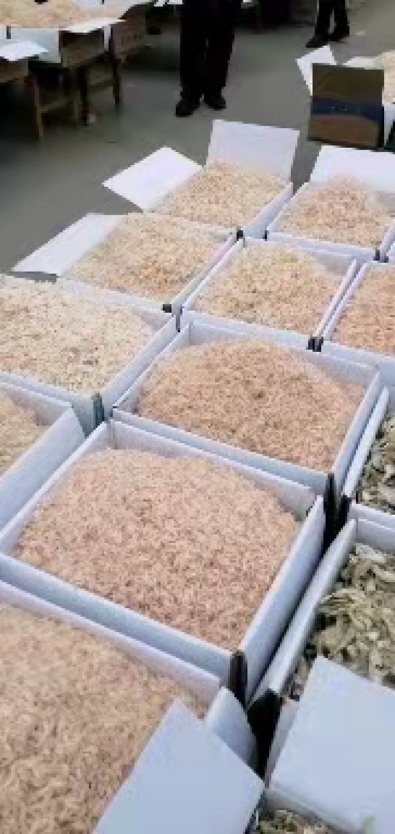 山东优质淡干无盐虾皮，价格齐全，低价出售质量保证