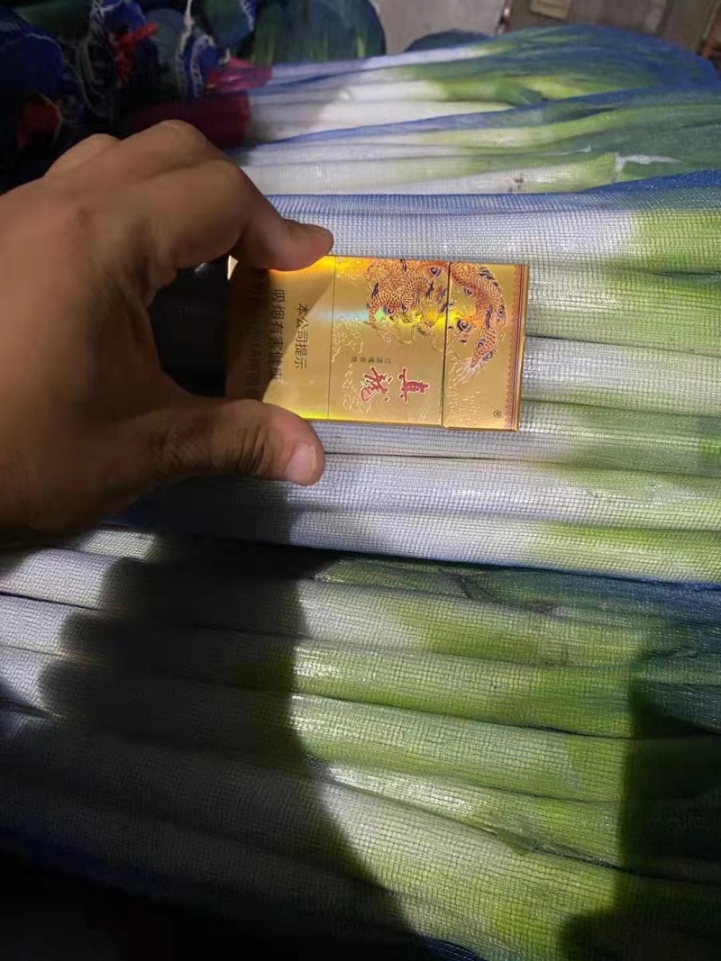 【荐】精品山东大葱，净葱，大量上市，欢迎客商来选购