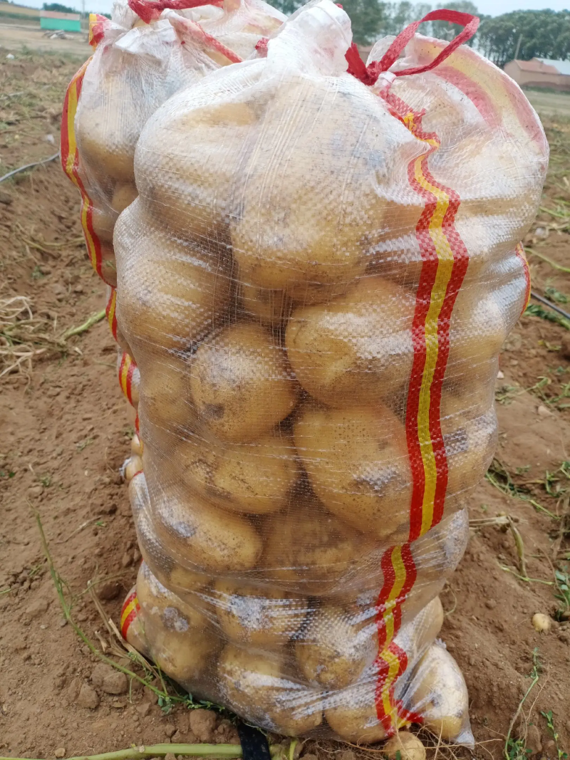 陕北精品希森6号土豆产地直供，货源品相好价格优，欢迎下单