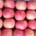 山东红富士苹果🍎大量上市，口感脆甜，品质保障，欢迎采购~
