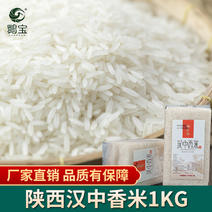 2021汉中新米上市优质大米香米稻花香