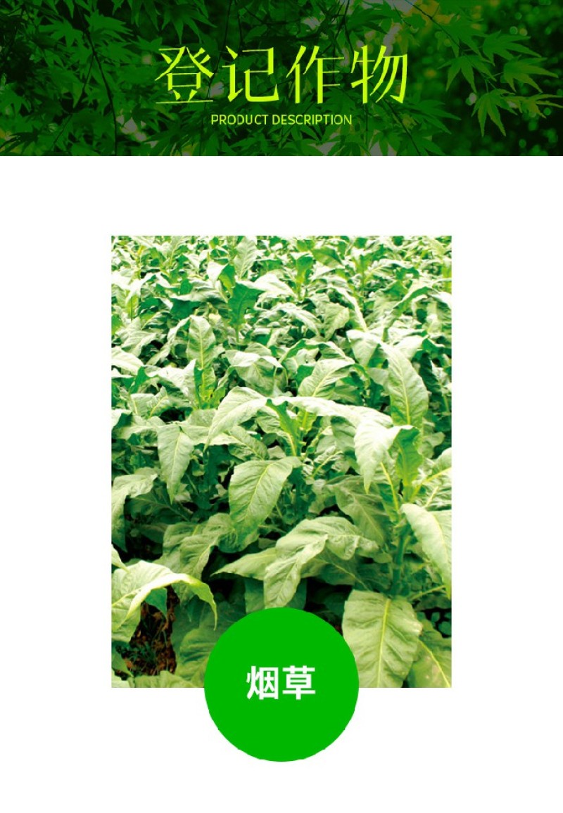 25%溴菌壬菌铜炭疽病叶斑病蔓枯病青枯病农药杀菌剂
