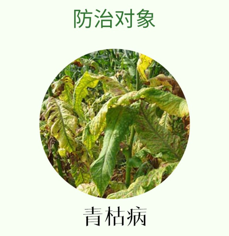 25%溴菌壬菌铜炭疽病叶斑病蔓枯病青枯病农药杀菌剂