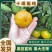 湖北十堰本地蜜橘皮薄口感甜美按规格配货