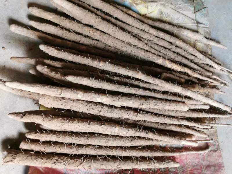 河北紫药麻山药电商社区团购，批发商产地直销，品种齐全