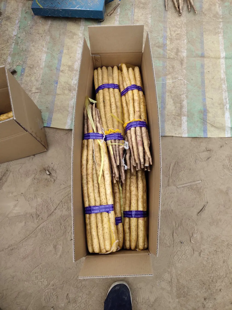 河北紫药麻山药电商社区团购，批发商产地直销，品种齐全