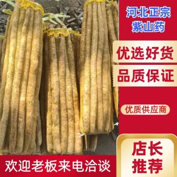 河北紫药麻山药电商社区团购，批发商产地直销，品种齐全