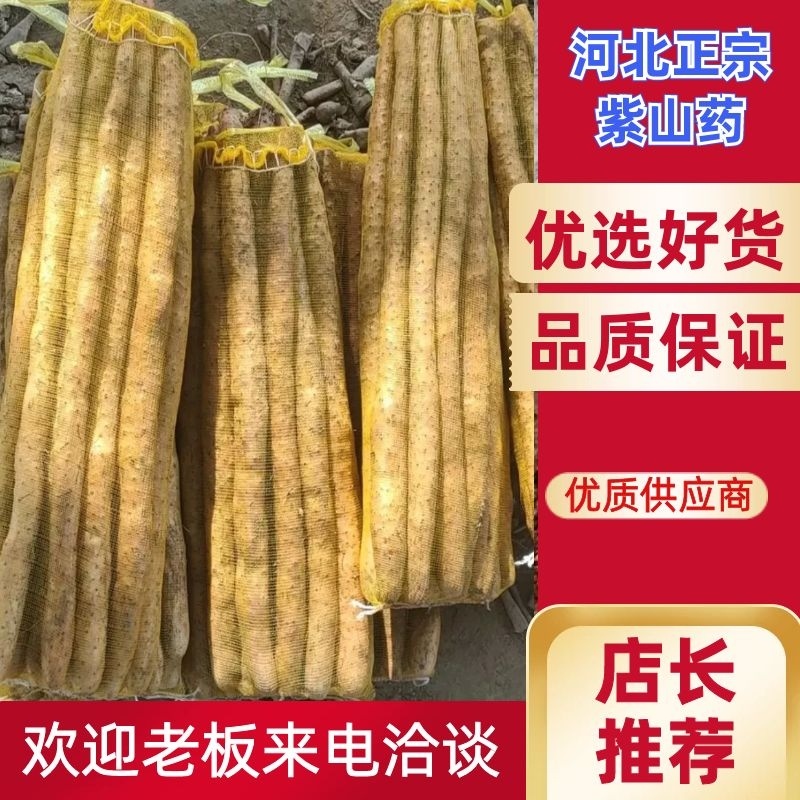 河北紫药麻山药电商社区团购，批发商产地直销，品种齐全