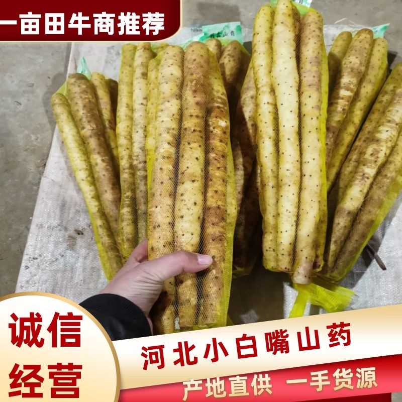 小白嘴山药支持一件代发，商超供应各种规格包装都有