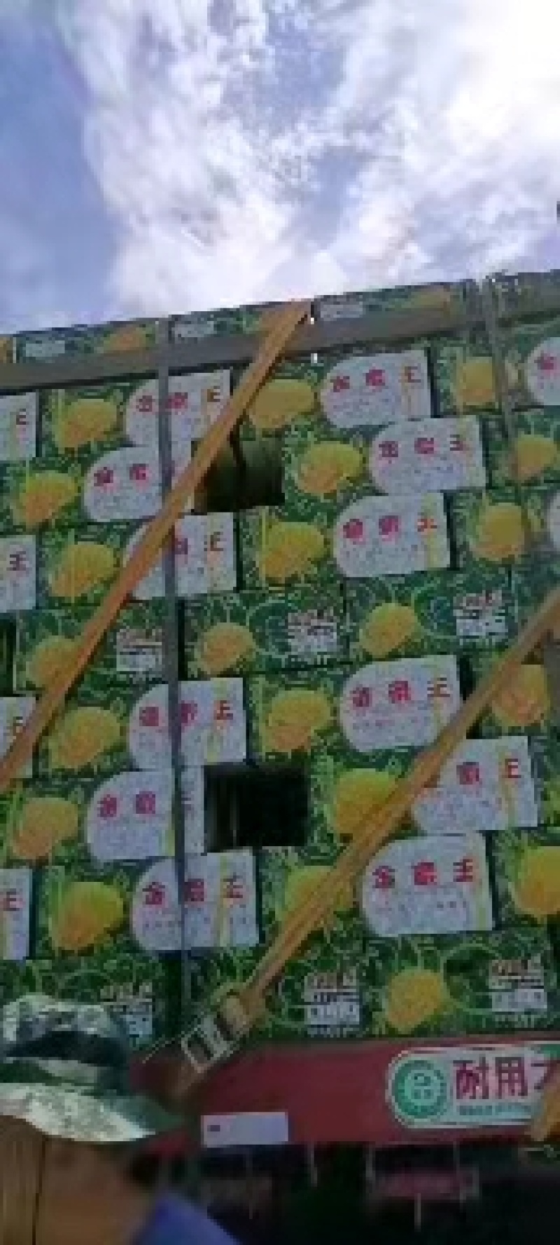 【推荐】海南哈密瓜甜过初恋味美价优，欢迎选