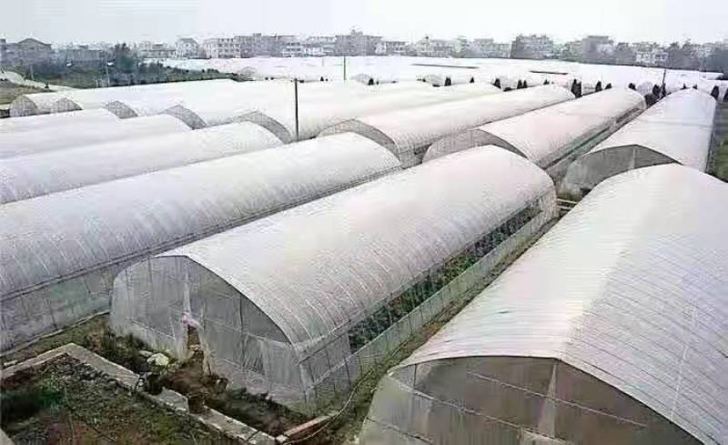 江苏优质养殖大棚椭圆钢管大棚镀锌钢管钢管骨架