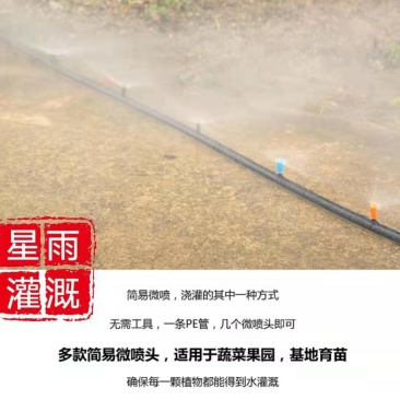 微喷果园微喷大棚微喷灌自动配肥肥水药一体化微喷带微喷管道