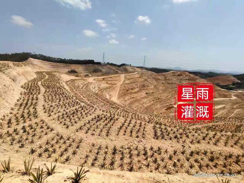 微喷果园微喷大棚微喷灌自动配肥肥水药一体化微喷带微喷管道