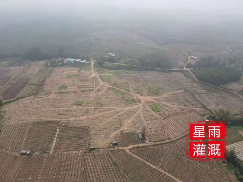 微喷果园微喷大棚微喷灌自动配肥肥水药一体化微喷带微喷管道