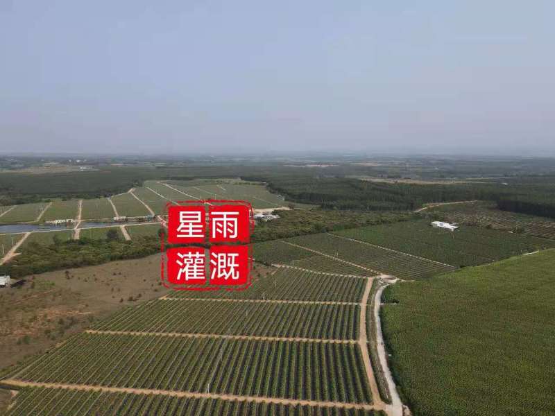 微喷果园微喷大棚微喷灌自动配肥肥水药一体化微喷带微喷管道