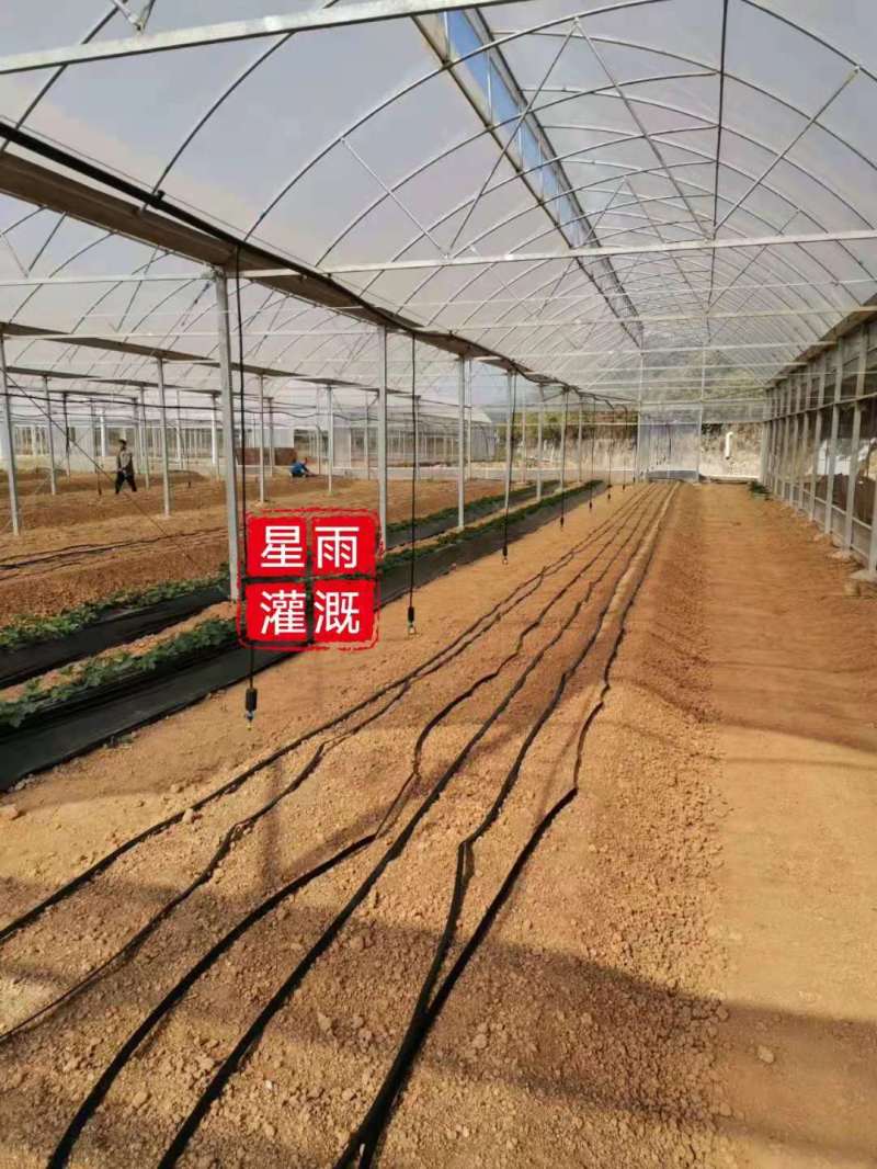 微喷果园微喷大棚微喷灌自动配肥肥水药一体化微喷带微喷管道
