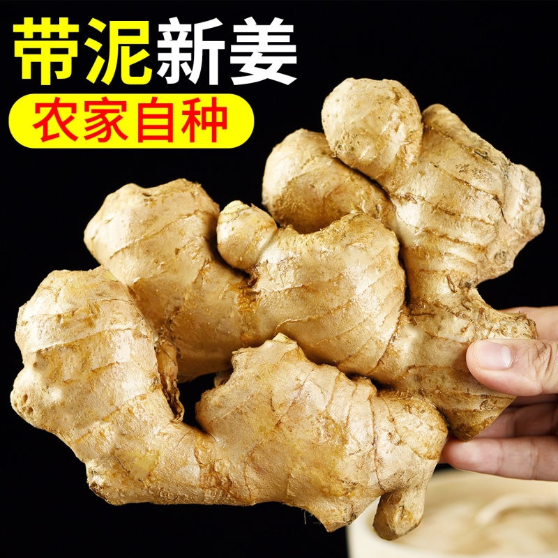 山东安丘大姜一手货源保质保量，精加工，水洗姜