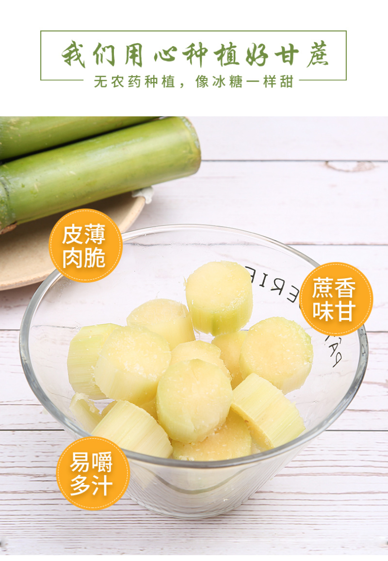 陶山甘蔗陶山果蔗青皮果蔗手撕甘蔗自产整根