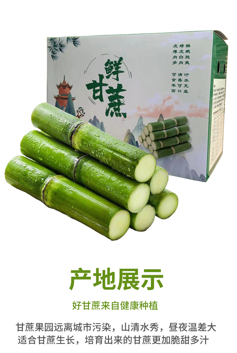 陶山甘蔗陶山果蔗青皮果蔗手撕甘蔗自产整根