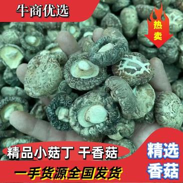 精品干香菇小菇丁色香味俱全口感细腻价格优惠河南香菇