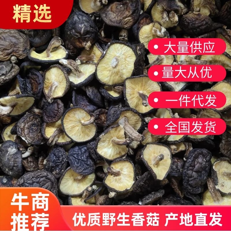 精品优质野生香菇产地直发，量大从优一件代发，全国发货