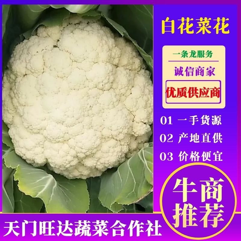 【有机菜花】松花菜万亩基地直供，一手货源，量大从优