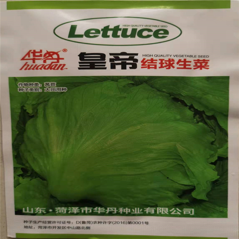结球生菜种子球生菜种籽包心球形四季盆栽蔬菜菜籽孑籽