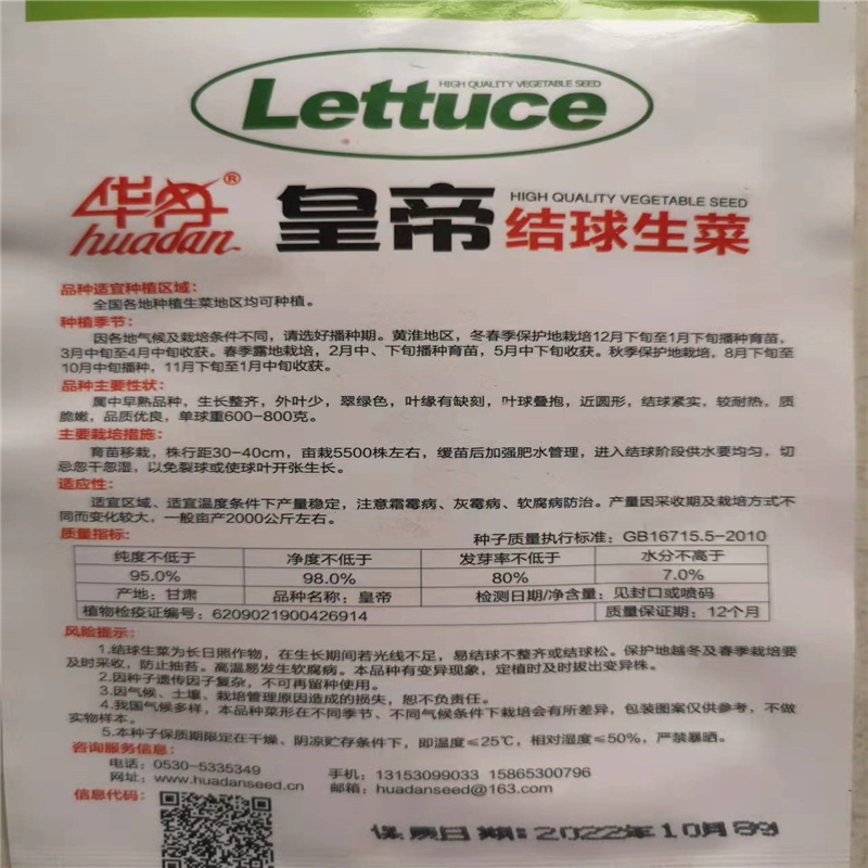 结球生菜种子球生菜种籽包心球形四季盆栽蔬菜菜籽孑籽