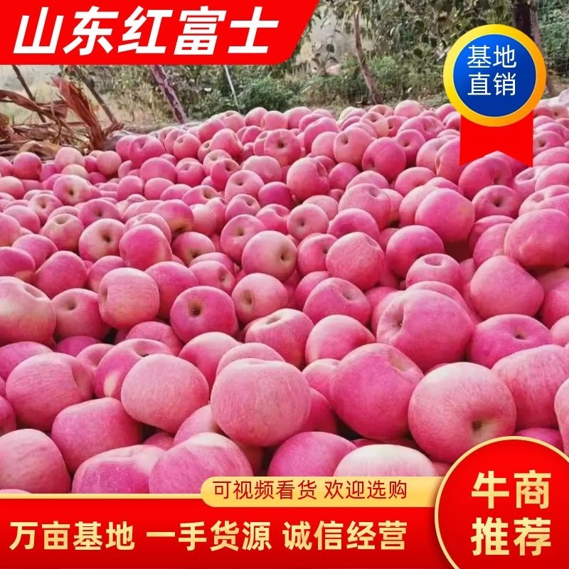 【爆品推荐】山东水晶红富士苹果冰糖心规格齐全一手货源