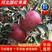 富士苹果国红苹果花牛苹果大量现货产地直销保质保量价格便宜