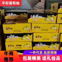 【一件】福建漳州葡萄柚爆汁礼盒装产地直发