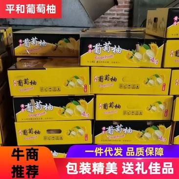 【一件代发包邮】福建漳州葡萄柚爆汁礼盒装产地直发