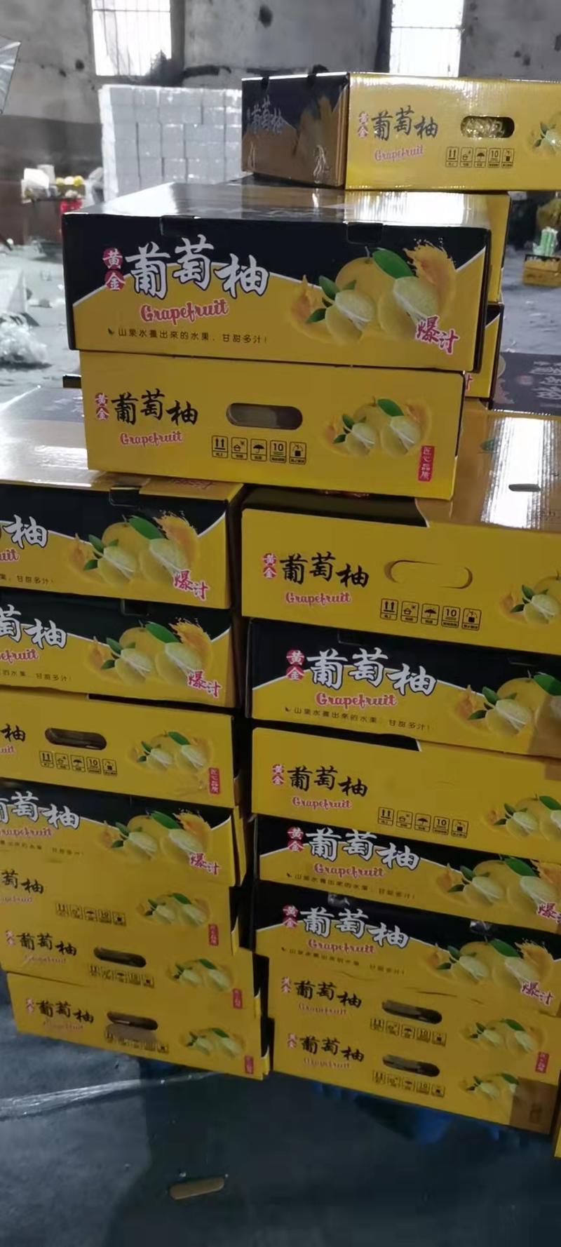 福建漳州葡萄柚果园直采新鲜上市大量批发中