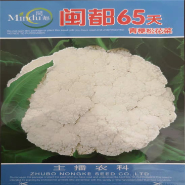 松花菜种子苗闽都65天有机花菜种孑青梗花椰菜菜花秋四季