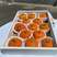 日本巧克力柑柿子现货8斤装整箱12头一件代发批发