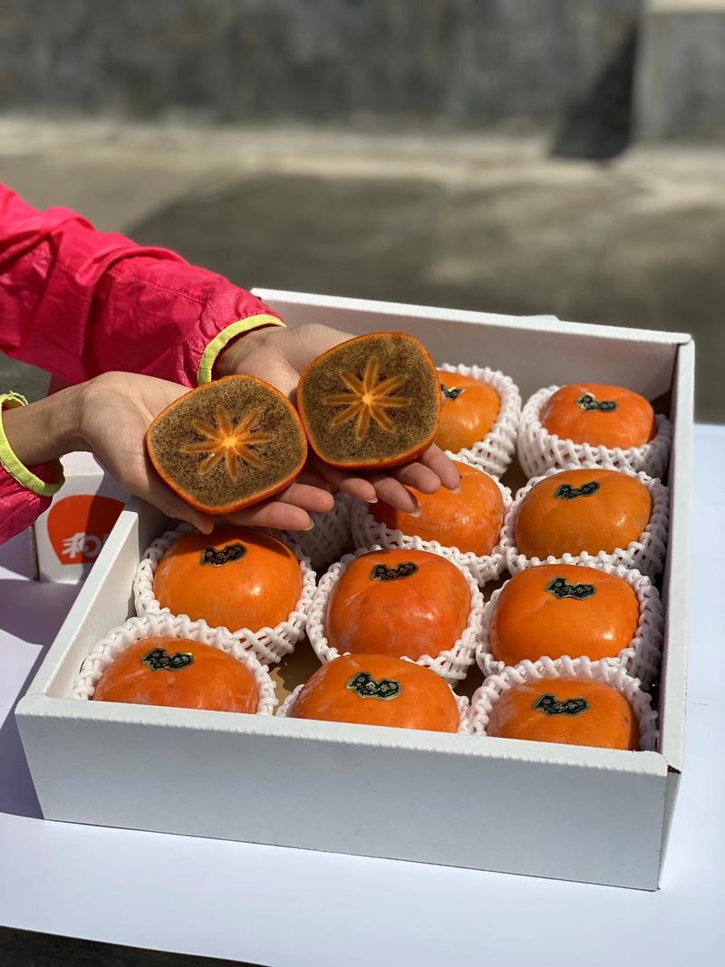 日本巧克力柑柿子现货8斤装整箱12头一件代发批发