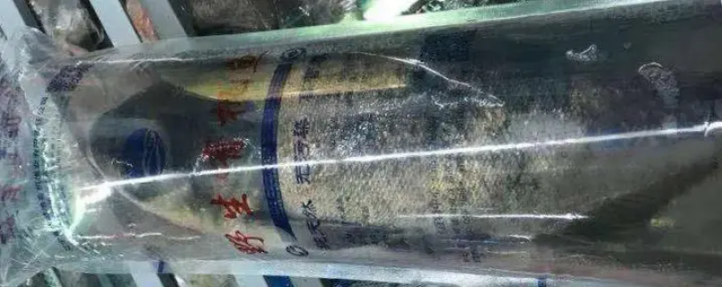 精品白鲢鱼，水库货源稳定，价格合适，供货全国钓场渔场！