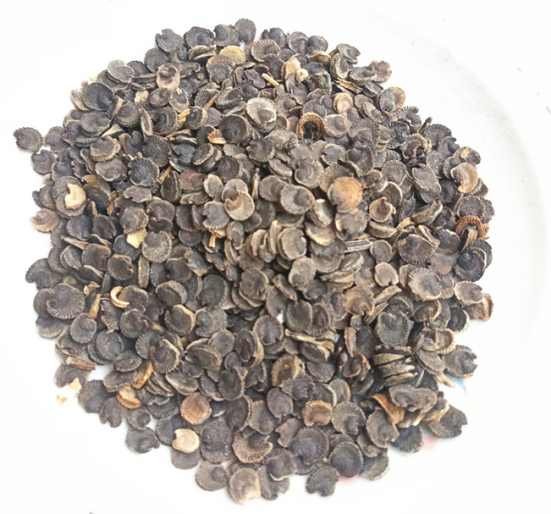 蜀葵子蜀葵籽胡葵子蜀季花子正品批发零售中药材无硫中药材