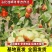 蟠枣树苗新品种个头大脆甜自然结果包品种包技术