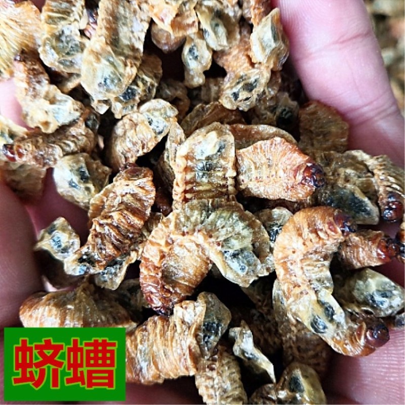 中药材蛴螬土蚕老母虫核桃虫粪虫正品批发零售中药材无硫中药