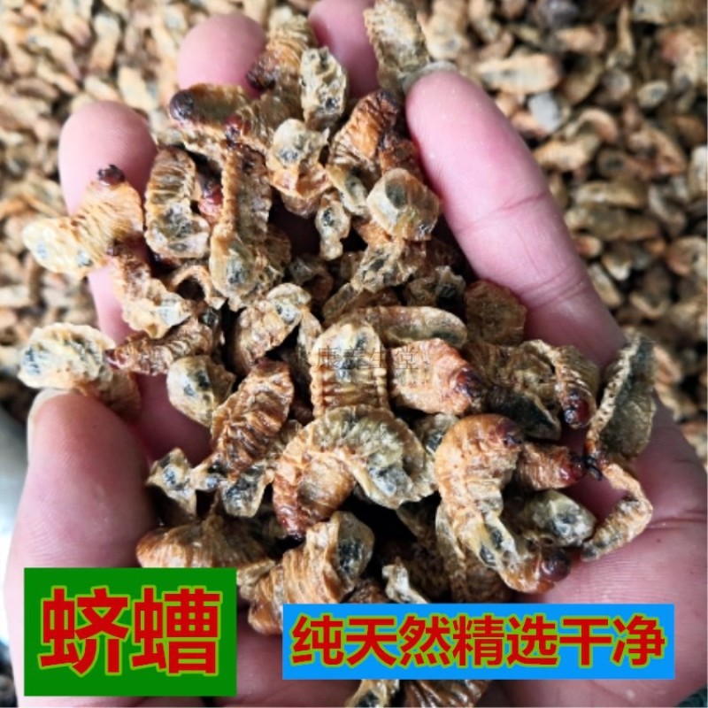 中药材蛴螬土蚕老母虫核桃虫粪虫正品批发零售中药材无硫中药