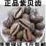 药材紫贝齿紫贝文贝紫贝子南蛇牙齿狗支螺正品批发