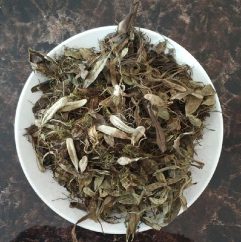 中草药材越橘叶熊果叶越橘叶子