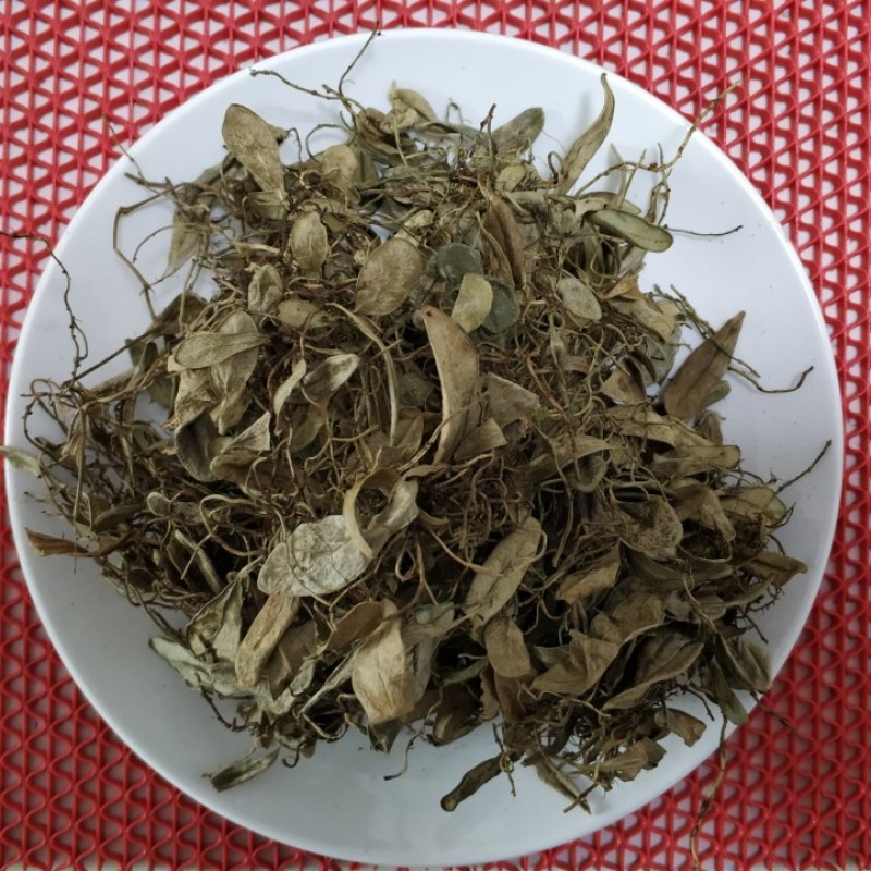 中草药材越橘叶熊果叶越橘叶子