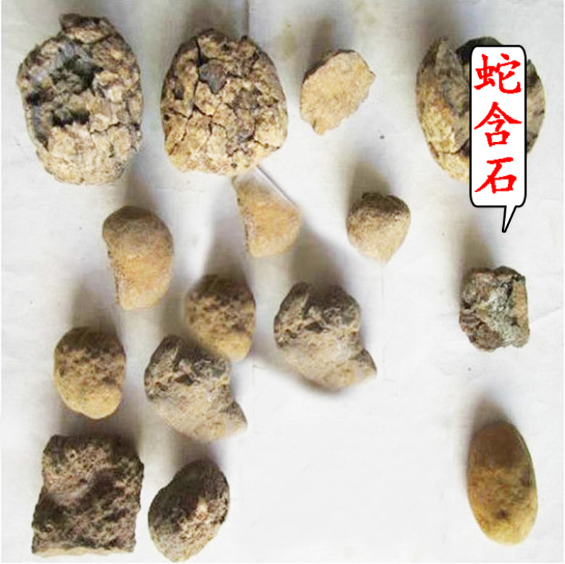 蛇黄蛇含石蛇黄蛇黄石.蛇寒石