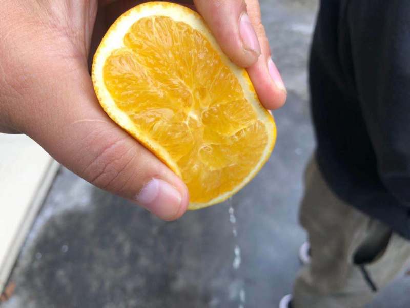 精品爱媛果冻橙，无核甜蜜多汁，欢迎下单咨询