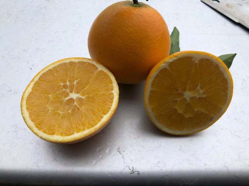 精品爱媛果冻橙，无核甜蜜多汁，欢迎下单咨询
