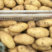 精品荷兰土豆，基地精品货源，精挑细选，个头均匀，供货全国